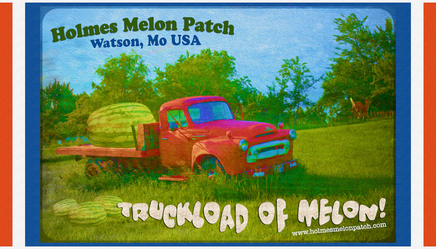 Design for Holmes Melon Patch